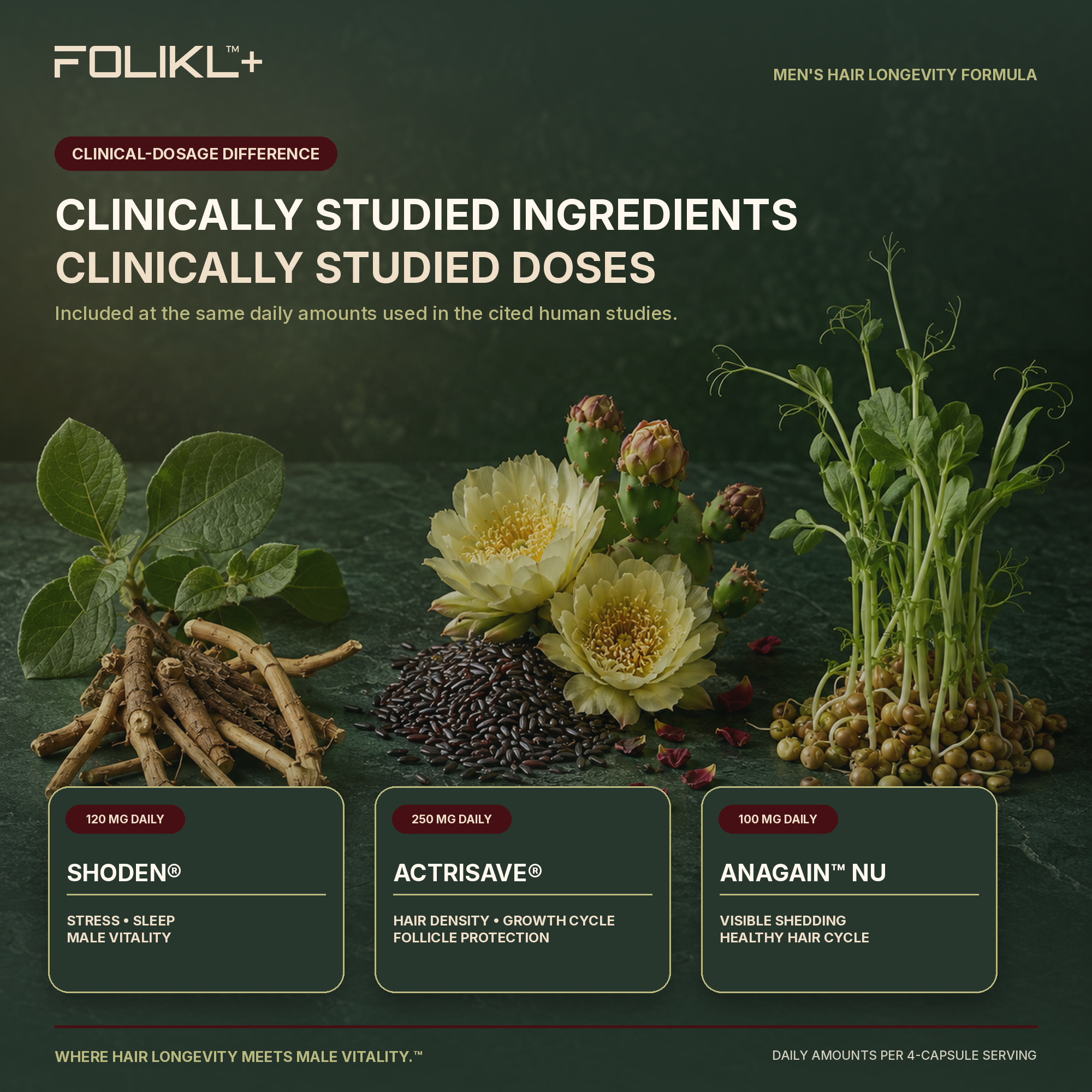 FOLIKL clinically studied ingredients Shoden®, Actrisave® and AnaGain™ Nu at the same daily doses used in the cited human studies.