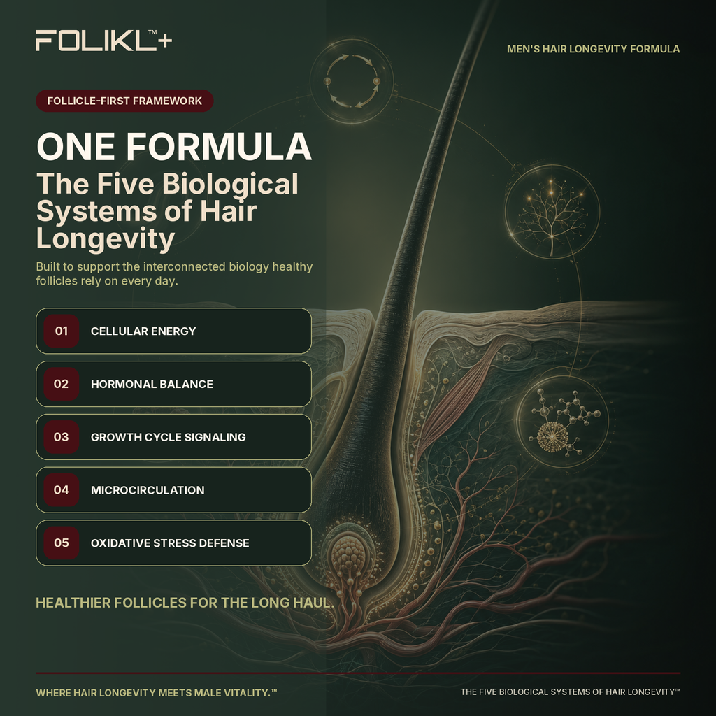 FOLIKL men’s hair longevity formula supports five biological systems: cellular energy, hormonal balance, growth-cycle signaling, microcirculation and oxidative stress defense.