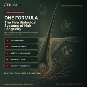FOLIKL men’s hair longevity formula supports five biological systems: cellular energy, hormonal balance, growth-cycle signaling, microcirculation and oxidative stress defense.