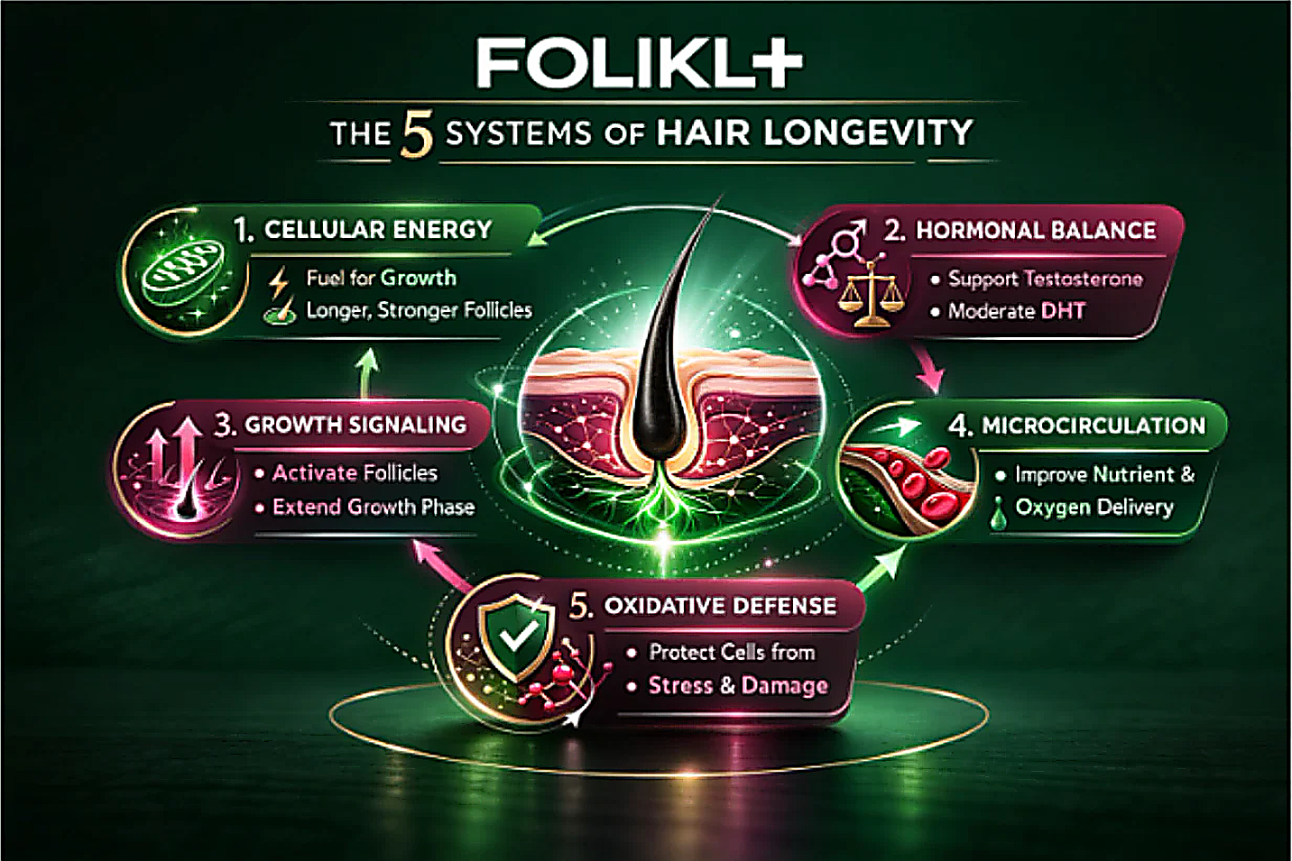 The 5 Systems of Hair Longevity - A Core Focus of FOLIKL™