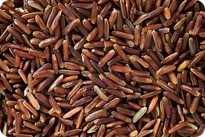 Actrisave™ Black Rice Blend & Prickly Pear Extract