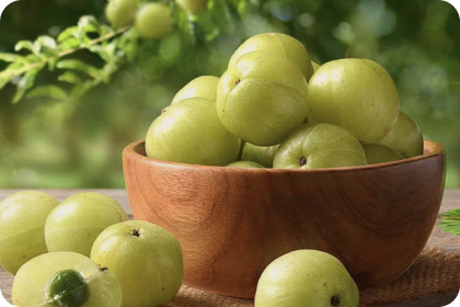 Amla Fruit Extract (Indian Gooseberry)