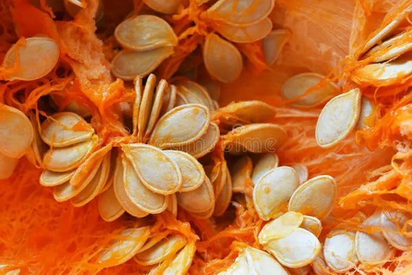Pumpkin Seed Extract